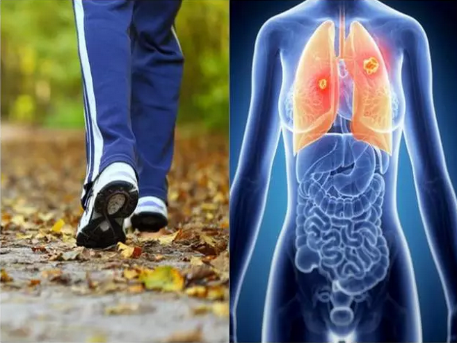 hjc888黄金城--手机版app官网