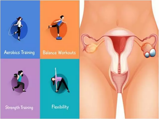 hjc888黄金城--手机版app官网