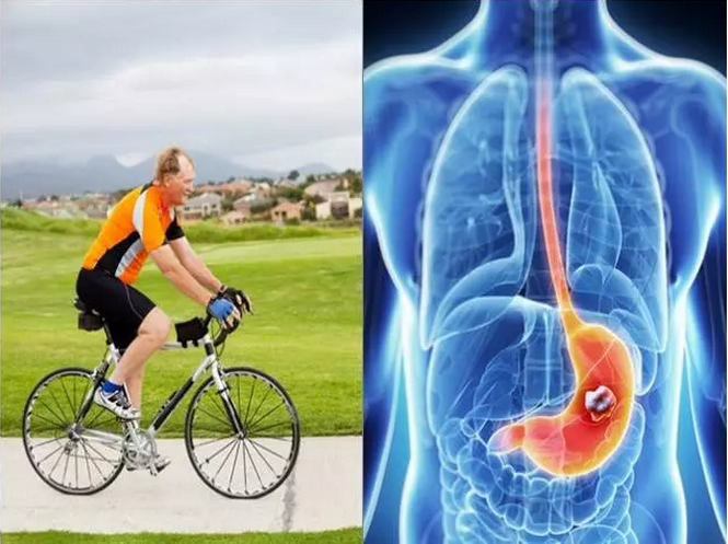 hjc888黄金城--手机版app官网