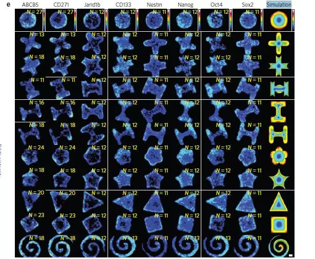 hjc888黄金城--手机版app官网