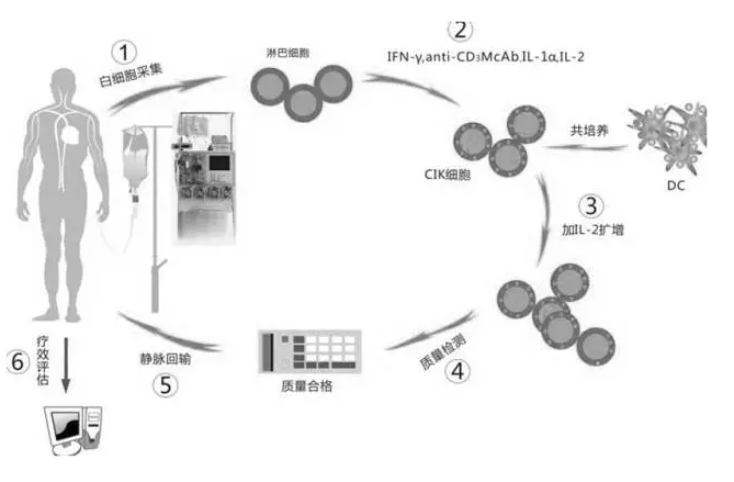 hjc888黄金城--手机版app官网