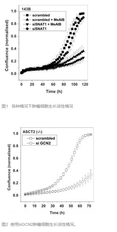 hjc888黄金城--手机版app官网