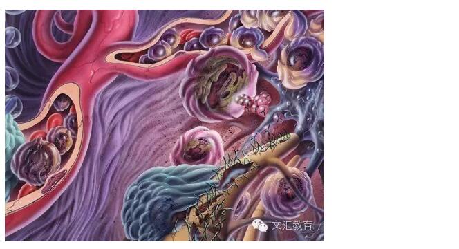 hjc888黄金城--手机版app官网